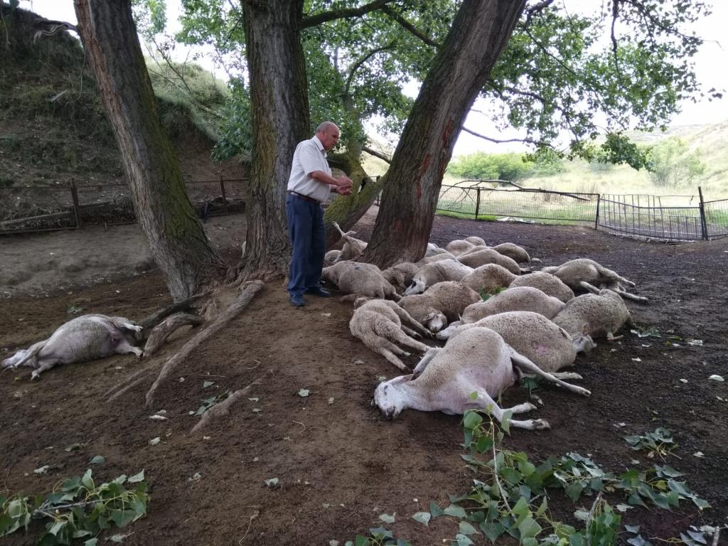 uzunhacı yıldırım