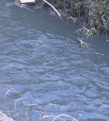 Dereye asit salan firmaya ceza yağdı 9 dereye asit salan