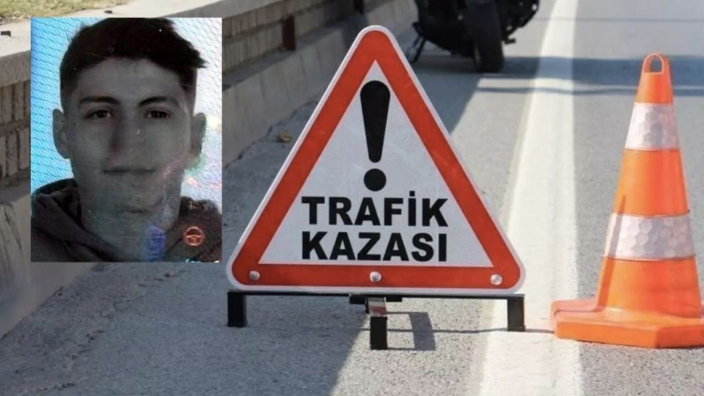 Üniversite öğrencisi