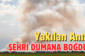 Yakılan anız şehri dumana