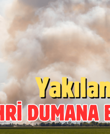 Yakılan anız şehri dumana