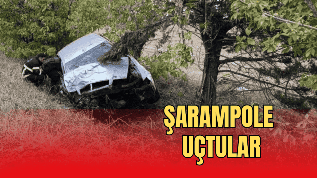 Şarampole uçtu