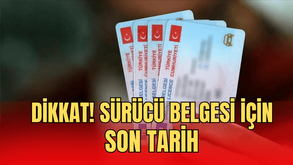 sürücü belgeleri