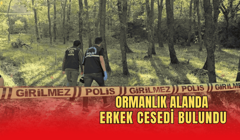 Ormanlık alanda erkek cesedi bulundu 6 Erkek cesedi bulundu