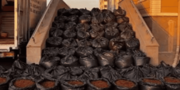 Kaçak tütün yakalandı