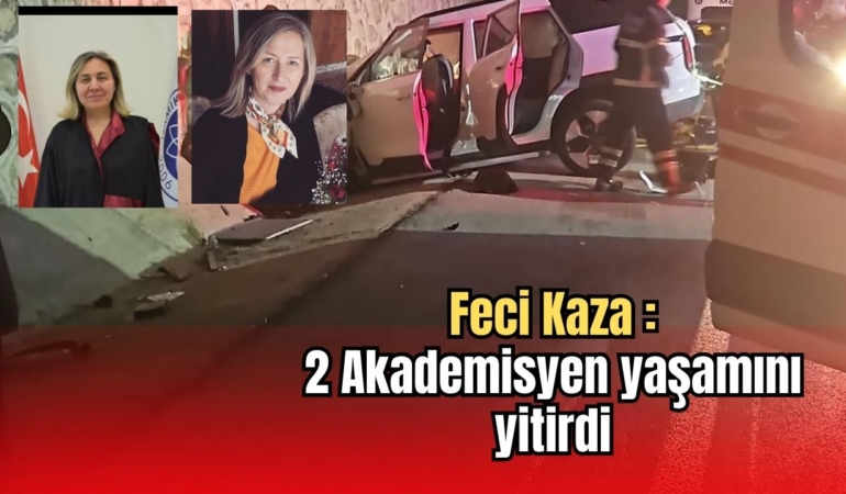 2 akademisyen