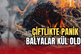 Veliköy'de 7,5 ton kaçak tütün yakalandı 2 thumbnail