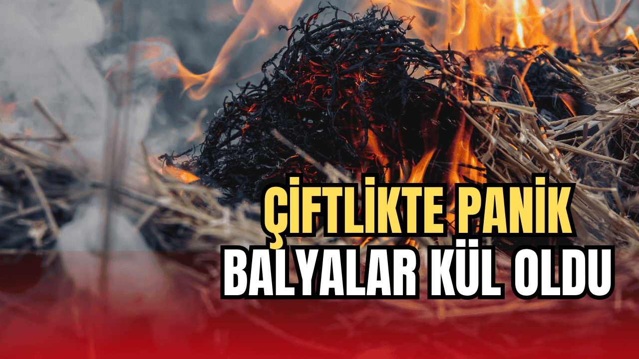 Çiftlikte Panik: Yüzlerce Saman Balyası Kül Oldu 28 saman balyası